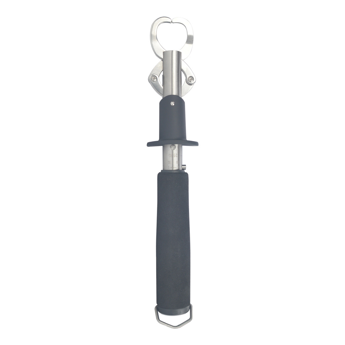 Neue 25kg Waage Fischlippenhal – Fishing Bewertung und Preis