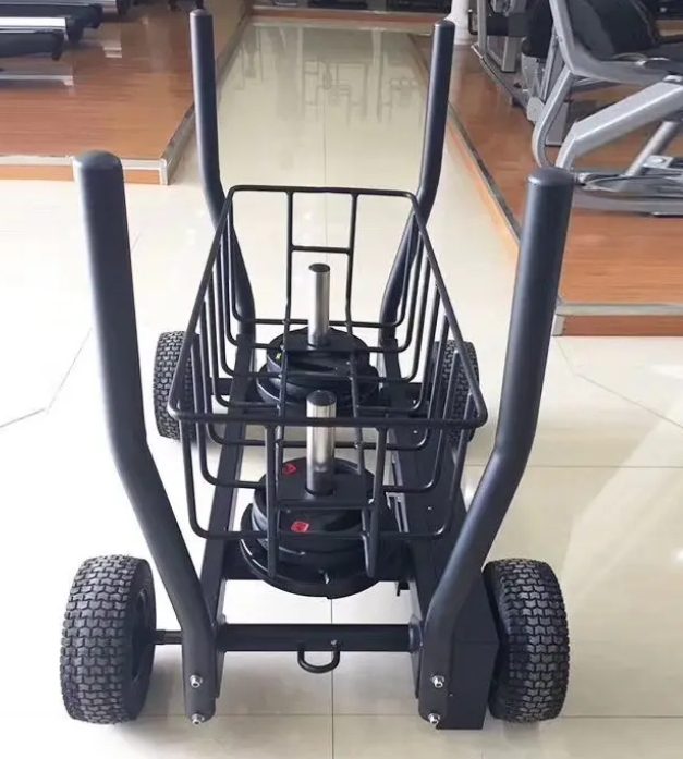 Plattenbeladener Stahltank-Sch – Fitness Equipment Bewertung und Preis